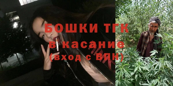 гидра Арсеньев