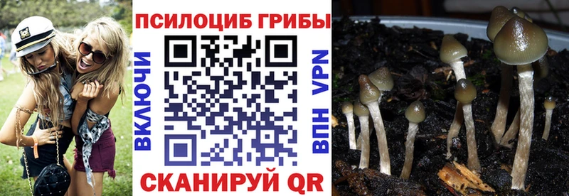 Псилоцибиновые грибы ЛСД  где купить   Анадырь 